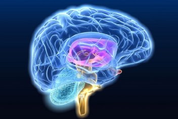 Астроцитома головного мозга: виды, причины, симптомы, лечение - No-onco.ru